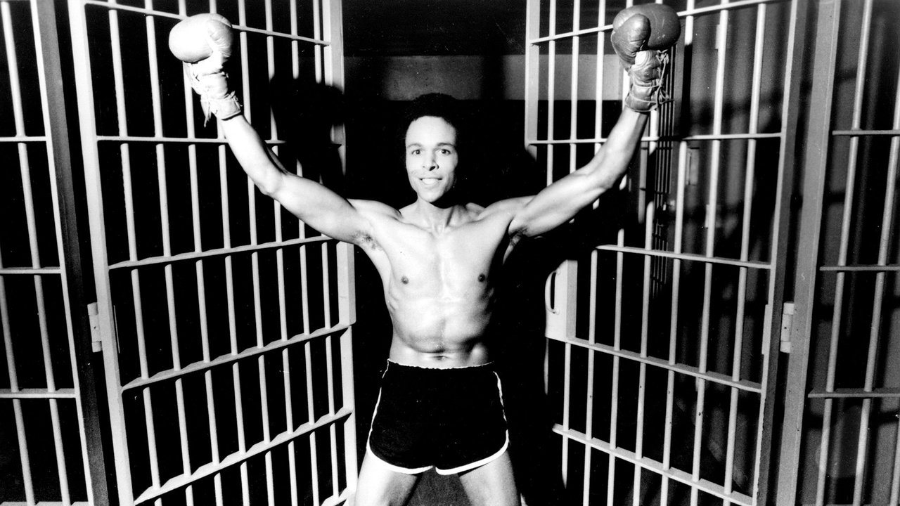 Penitentiary Collection background